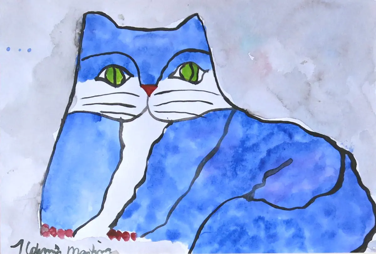 Gato