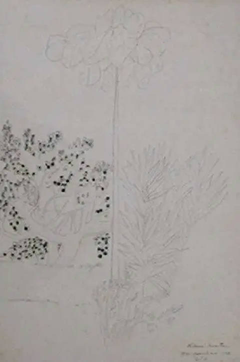 Paisagem