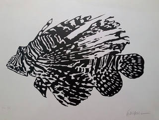 Kleber Ventura - Peixe