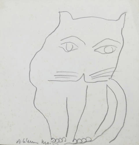 Gato