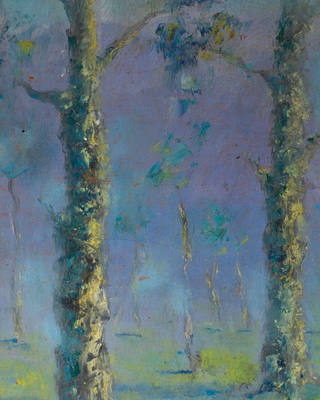 Manoel Santiago - Cascudas