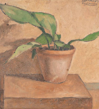 Fulvio Pennacchi - Vaso de Planta