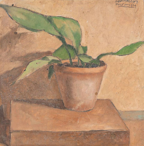 Vaso de Planta