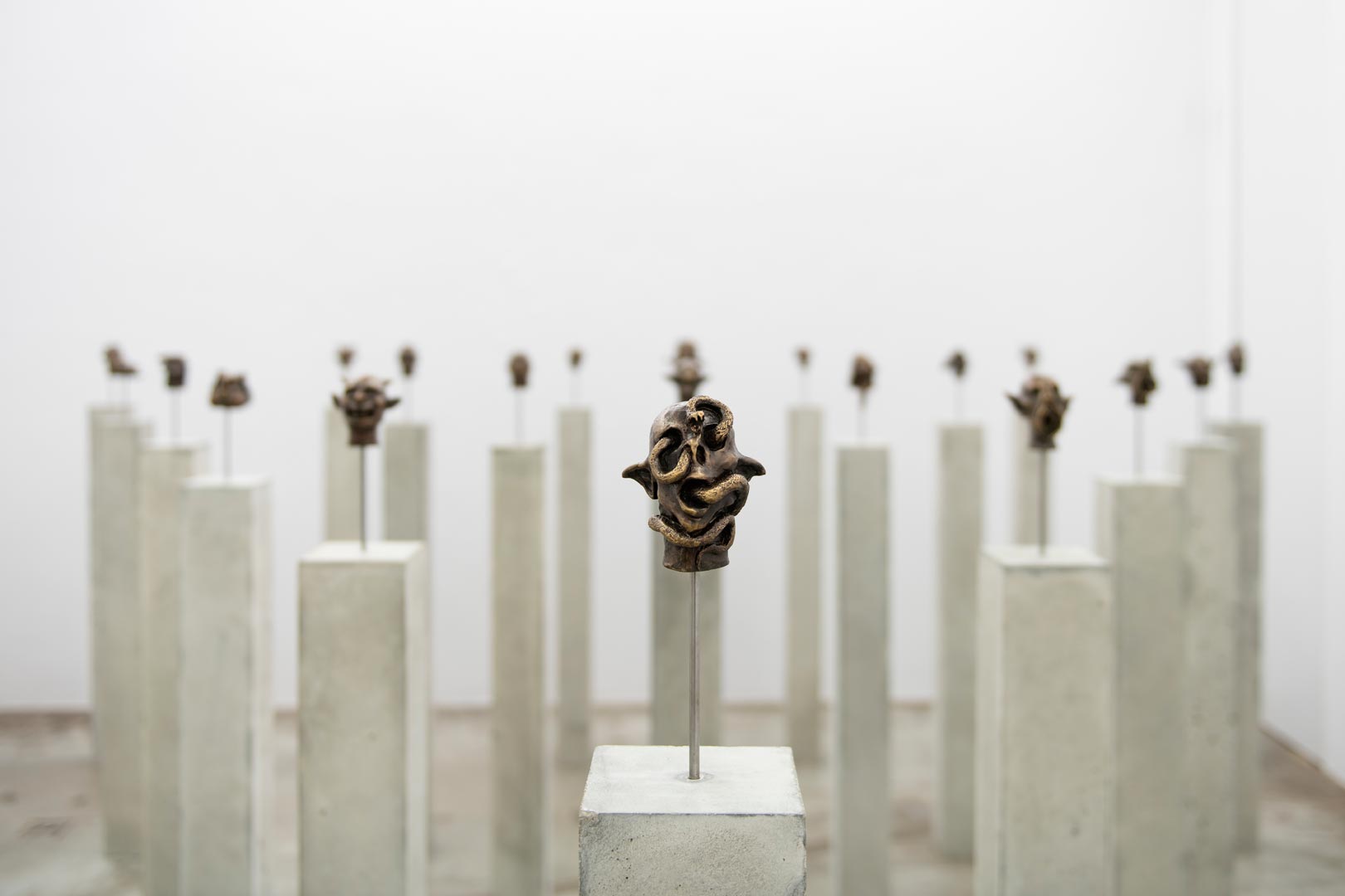 Carlos Motta - Vista da exposição