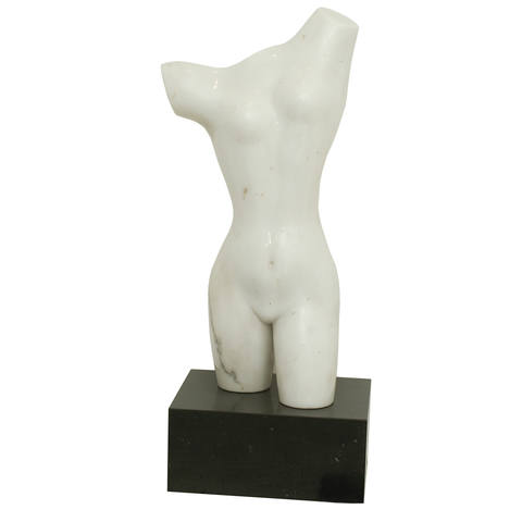 Torso Feminino
