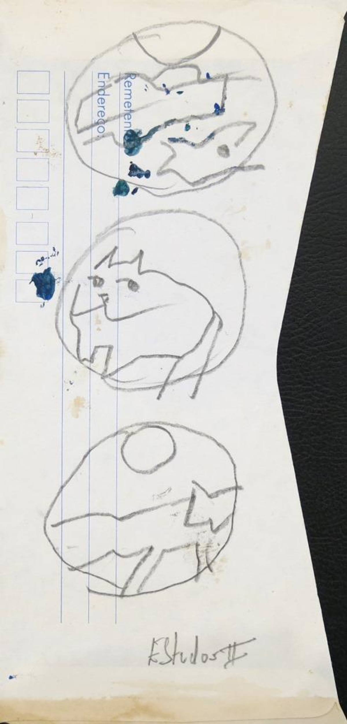 Gatos