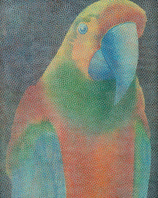 Claudio Tozzi - Papagaio