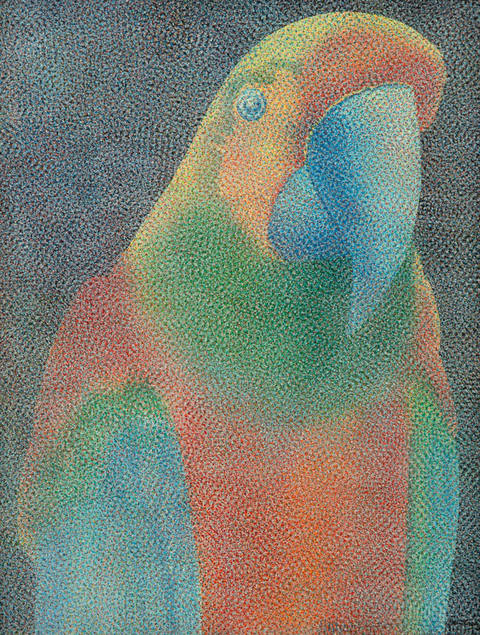Papagaio