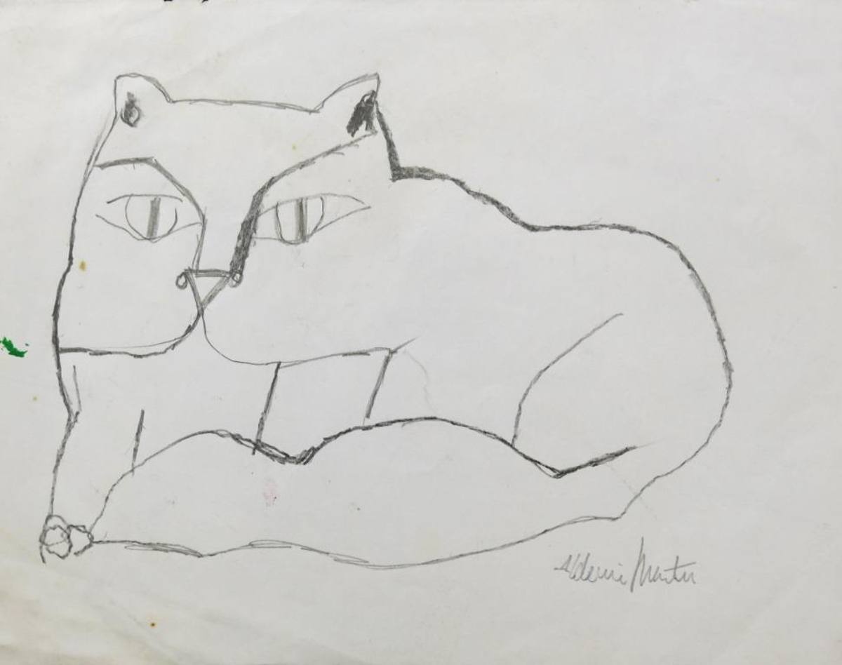Gato