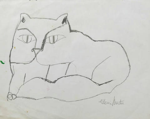 Gato