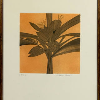 Aldemir Martins - Flores