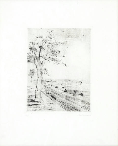 Paisagem