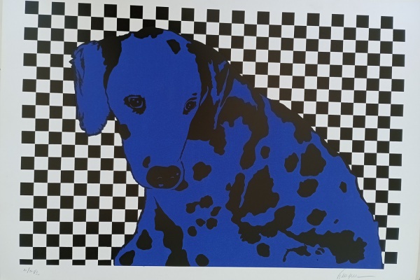 Cachorro azul
