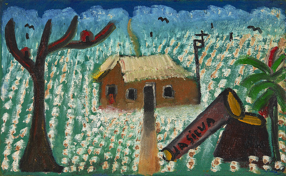 Algodão