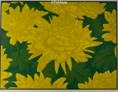 Flores