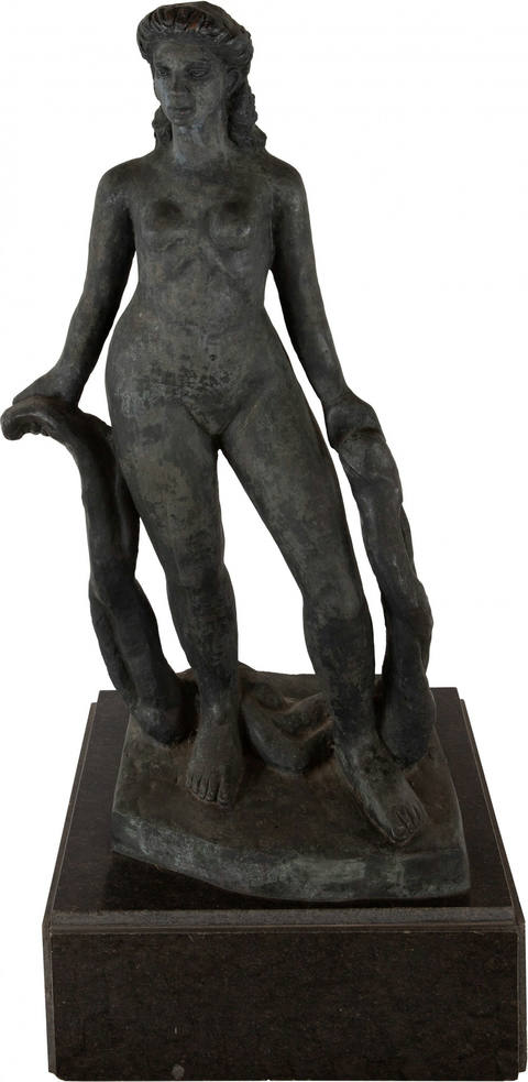 Figura Feminina