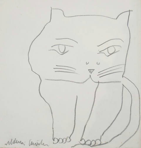 Gato