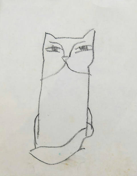Gatos