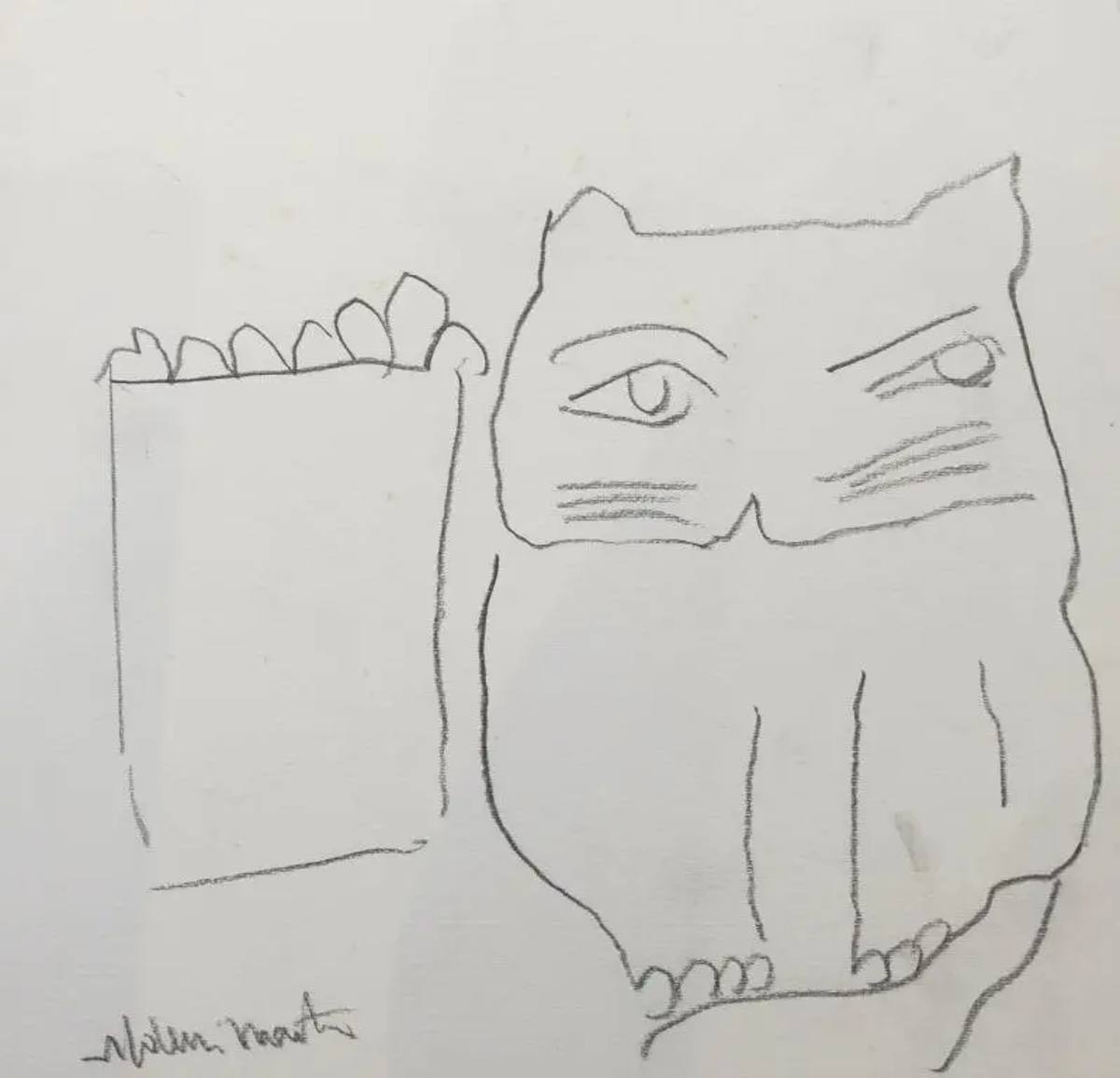 Gato