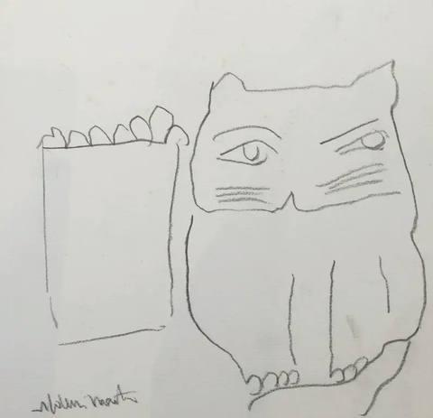Gato