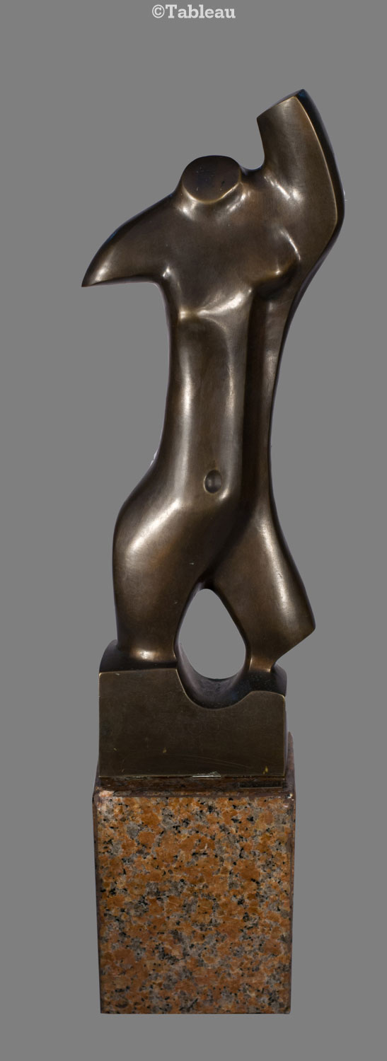 Torso