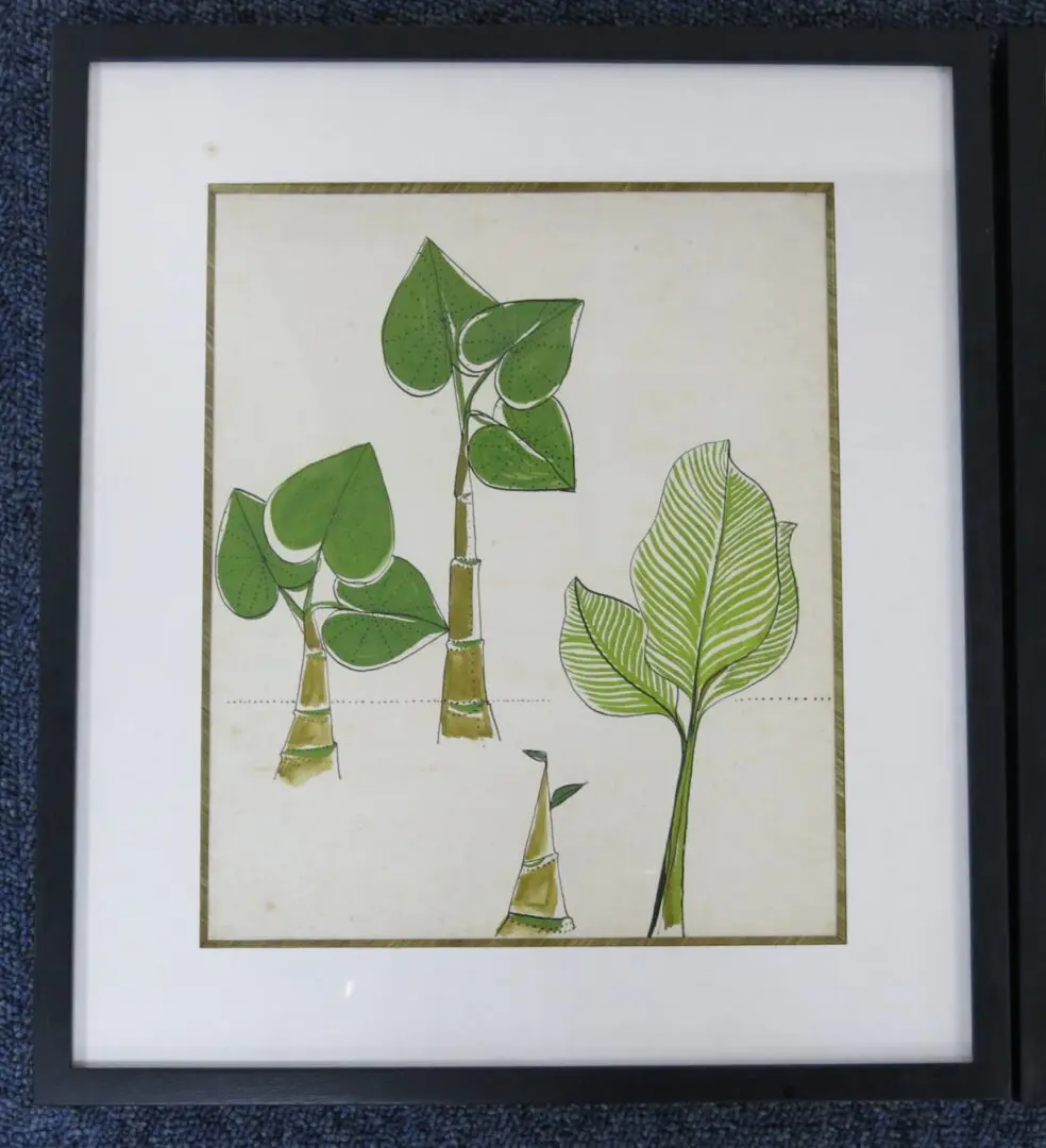 Aldemir Martins - Plantas