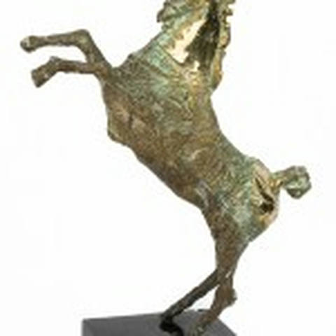 Cavalo Empinando