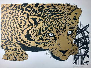 Kleber Ventura - Onça Pintada Dourada