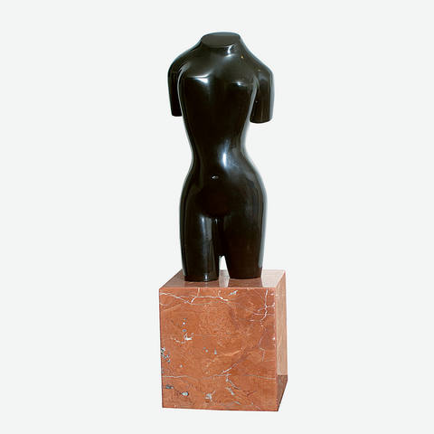 Torso