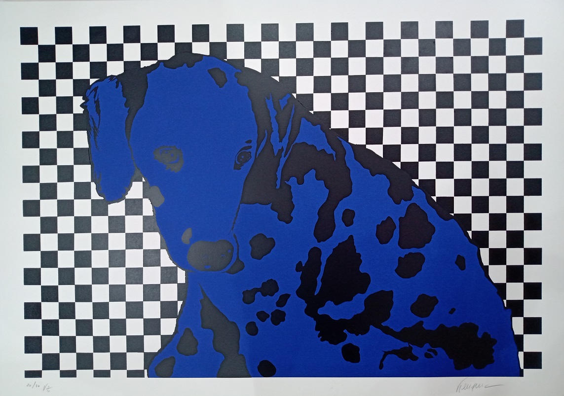 Dálmata azul