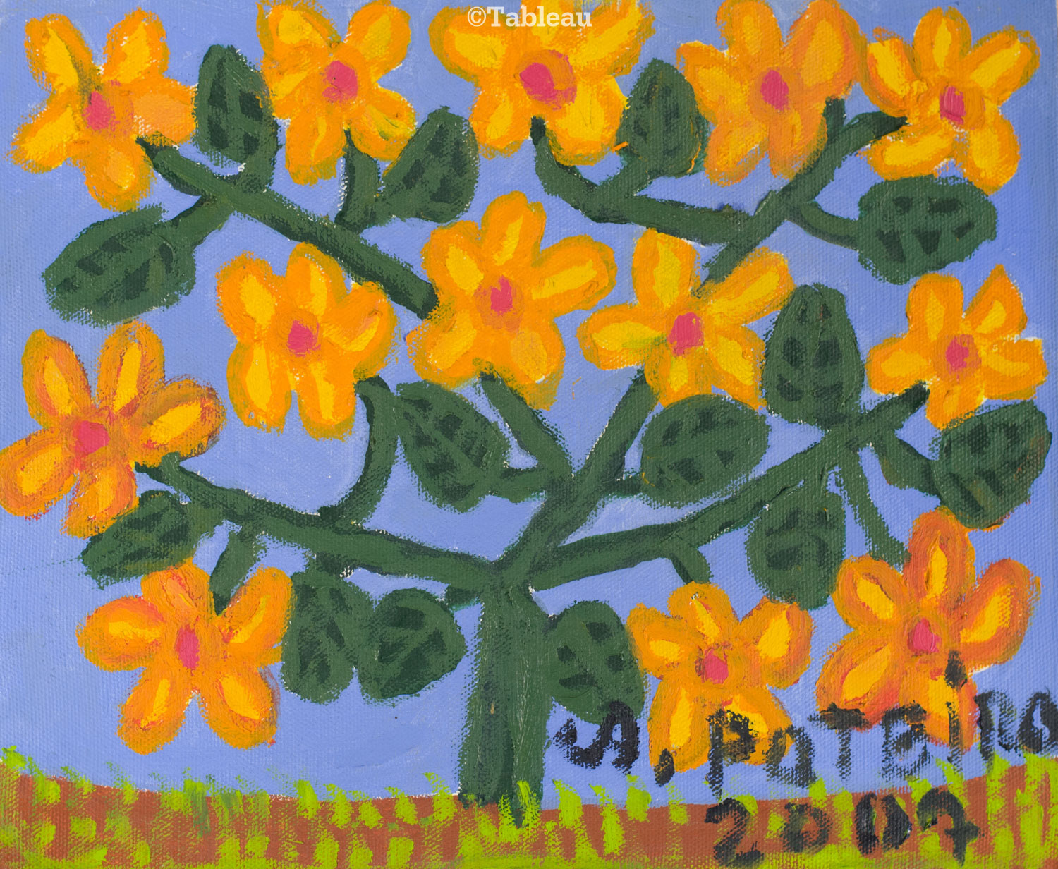 Flores