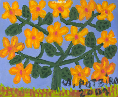 Flores