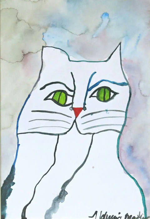 Gato (s/ data)