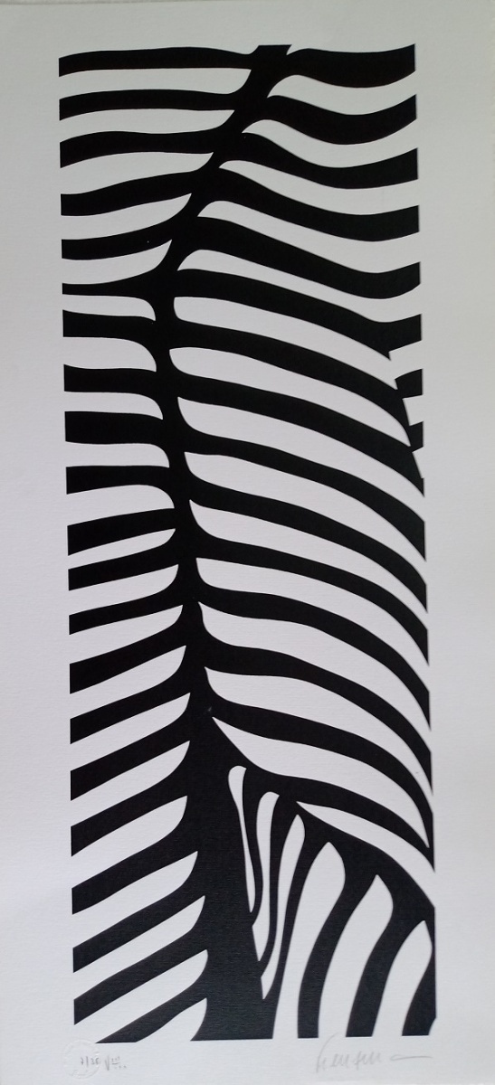 Abstrato em preto e branco