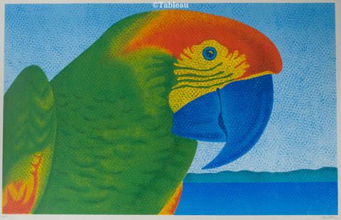 Arara