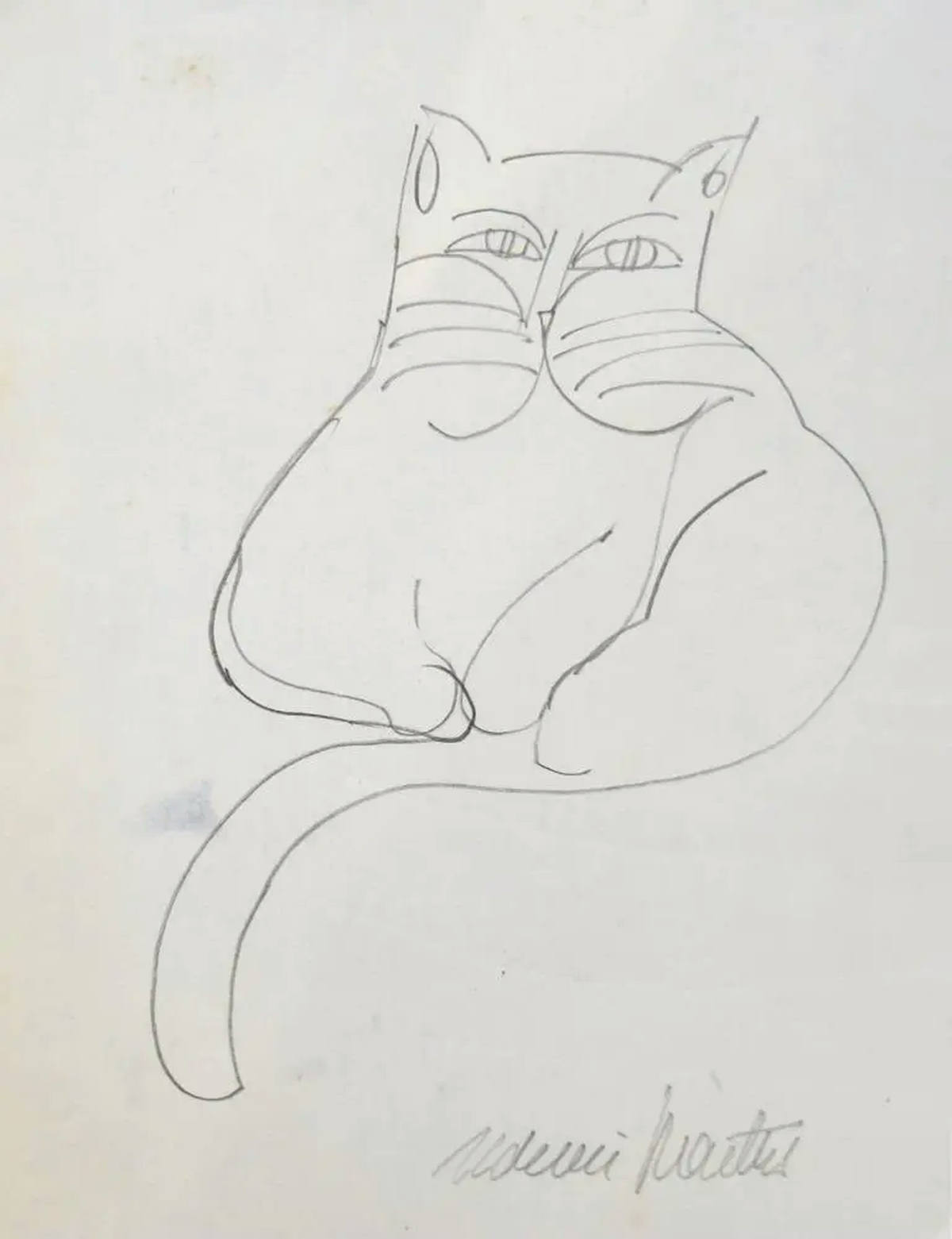 Gato