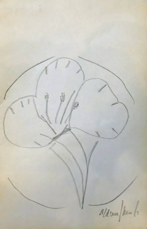 Flor