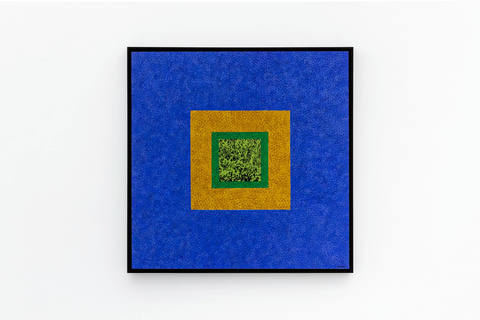 Vegetação, terra e céu
