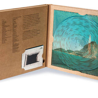 Cildo Meireles - Rio Oir