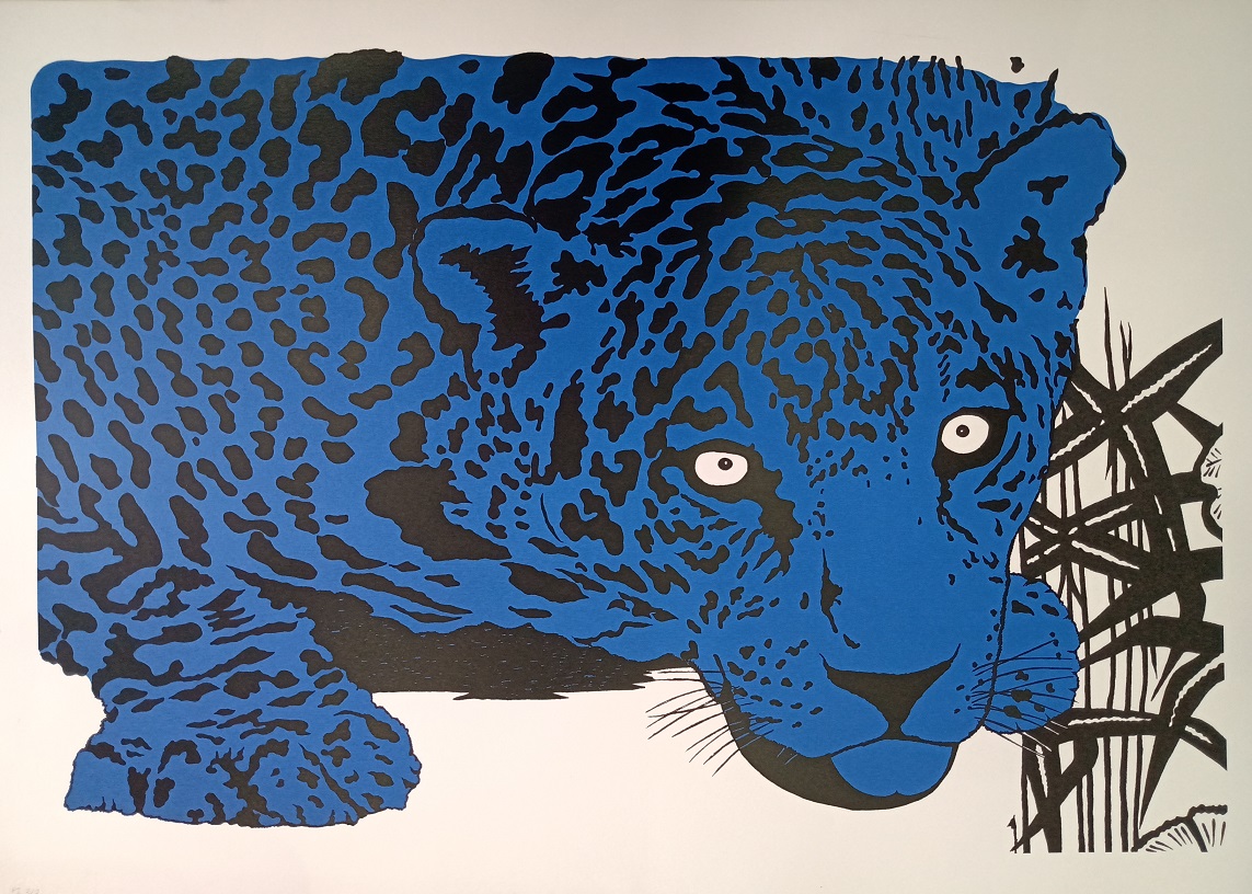 Kleber Ventura - Onça azul