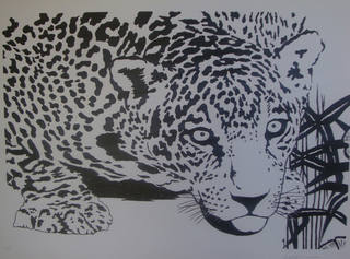 Kleber Ventura - Onça Pintada