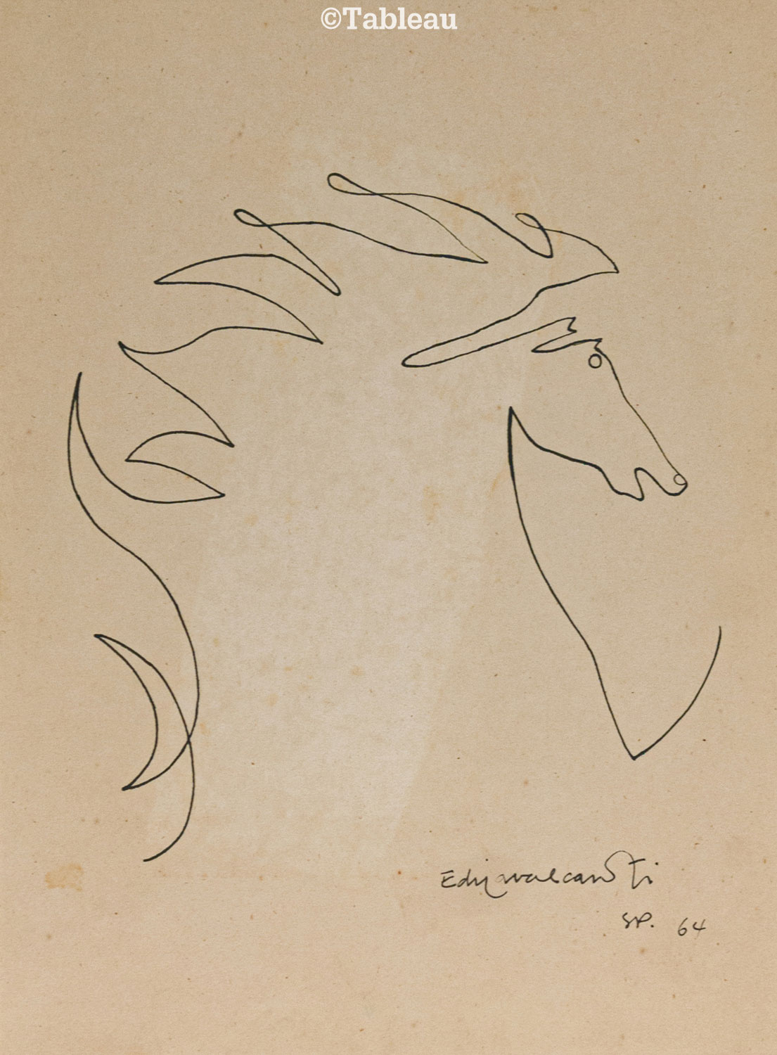 Cavalo