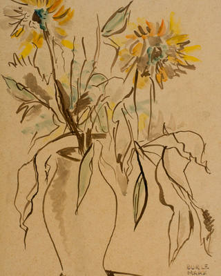 Roberto Burle Marx - Flores