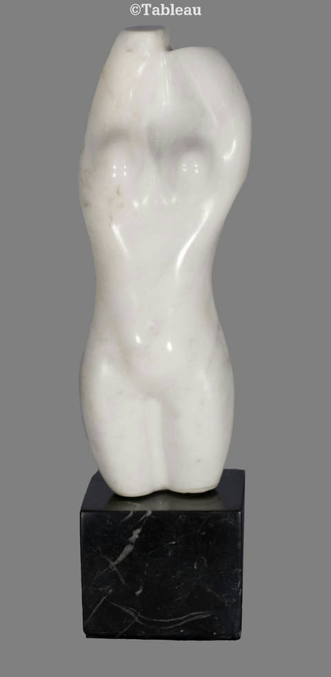 Torso