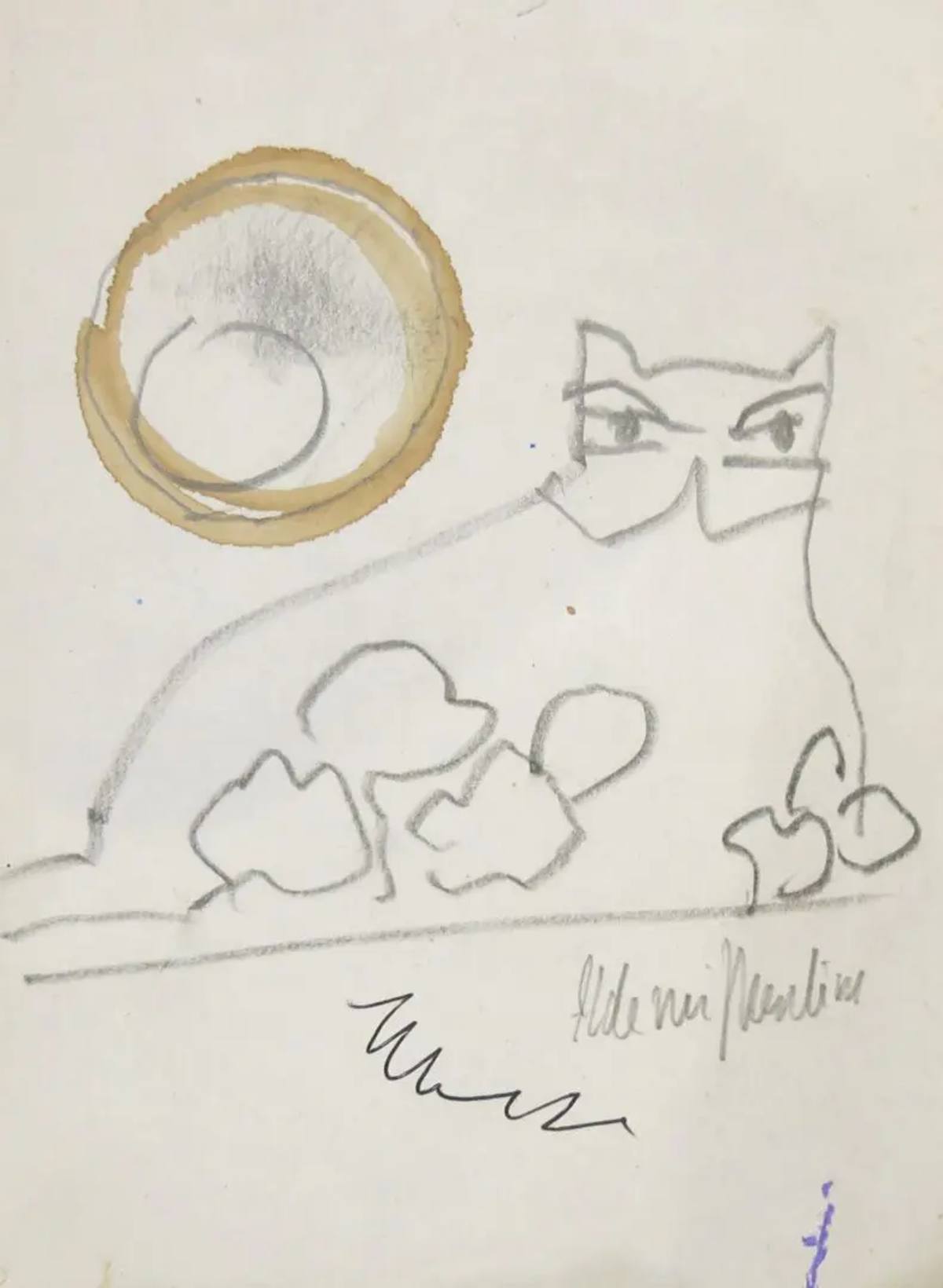Gato