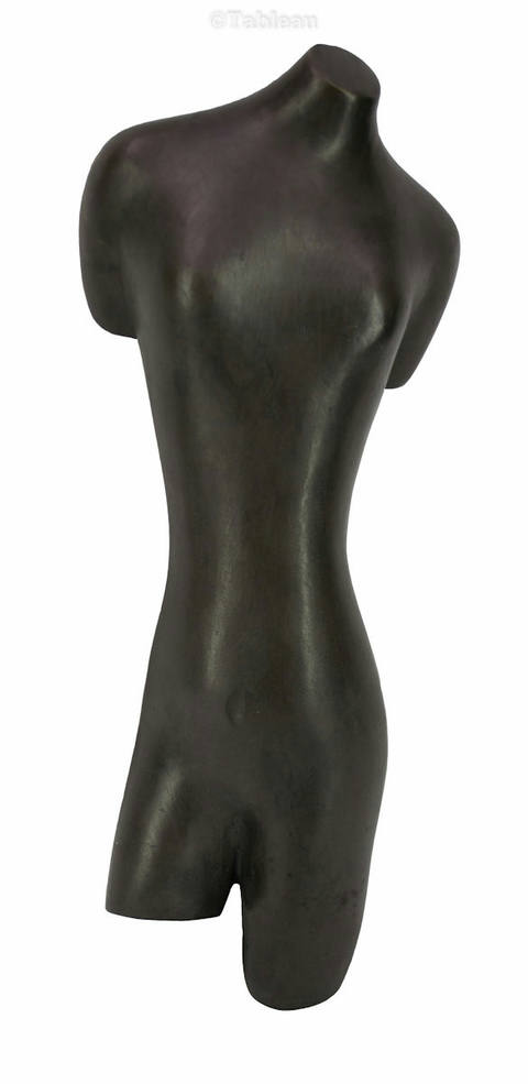 Torso