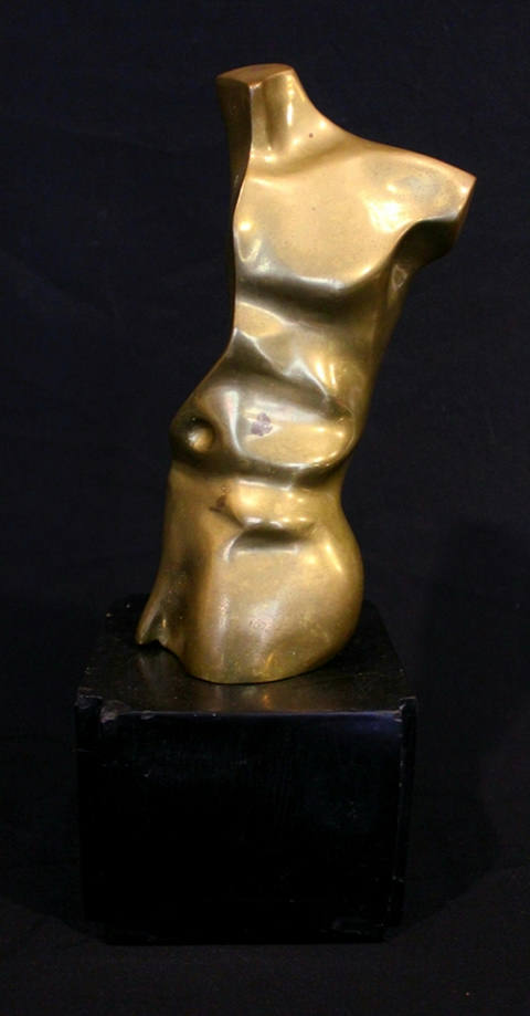 Torso