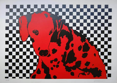 Dalmata Vermelho