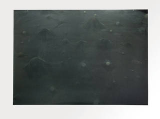 Cildo Meireles - Glove Trotter