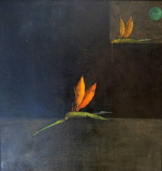 Inos Corradin - Flor - Déc 60/70